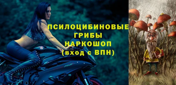 таблы Каменка