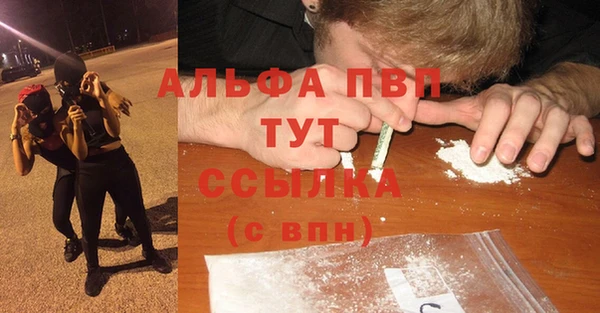амф Касимов